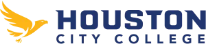 HCC